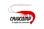 25.png